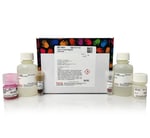 Thermo Scientific™ Pierce™ Classic Magnetic IP/Co-IP Kit